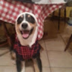 Meet your Posher, Ana